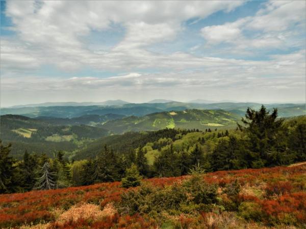 pohled na Beskydy