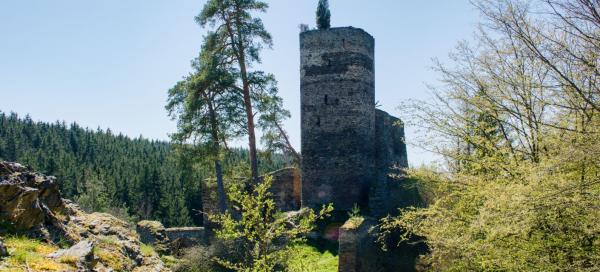 Hrad Gutštejn