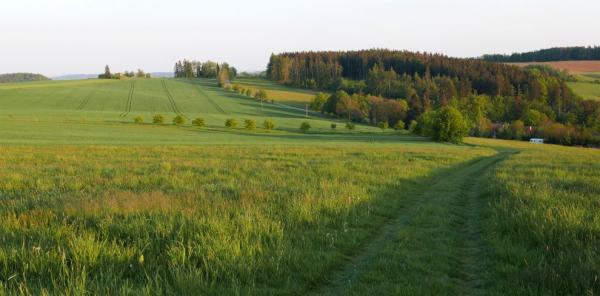 Cesta do Arnoštova