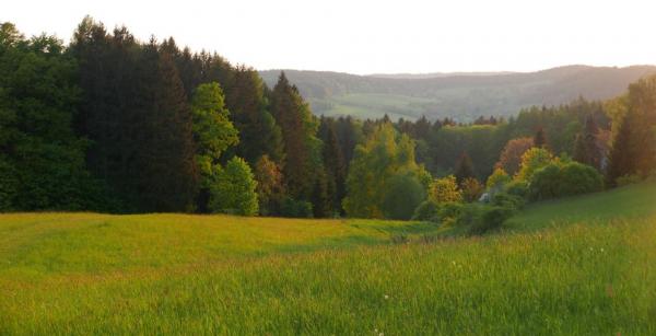 Paseky