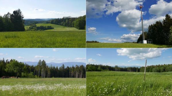 Červený vrch (541m)