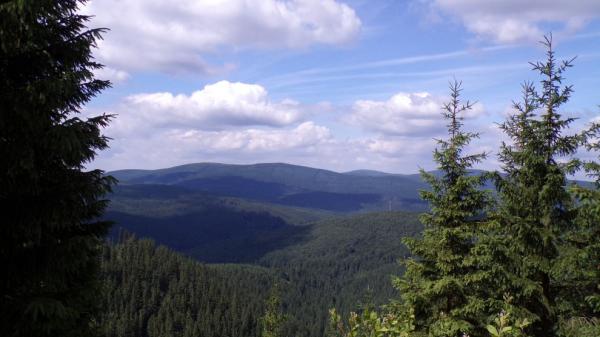 Dřevařská cesta