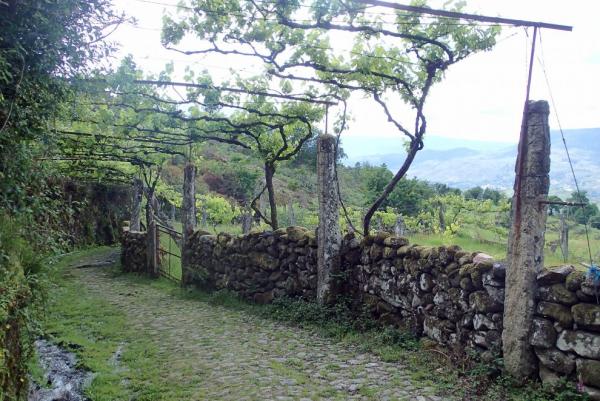 Národní park Peneda – Gerés