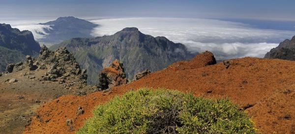 La Palma