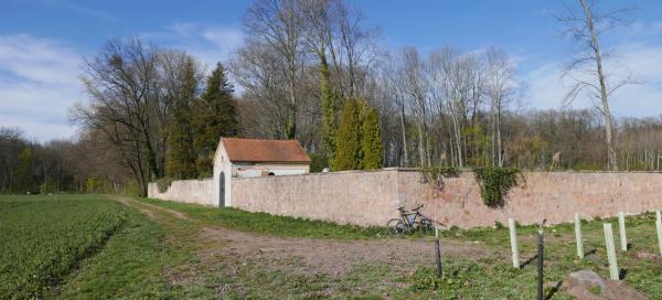 Jičín Jewish Cemetery