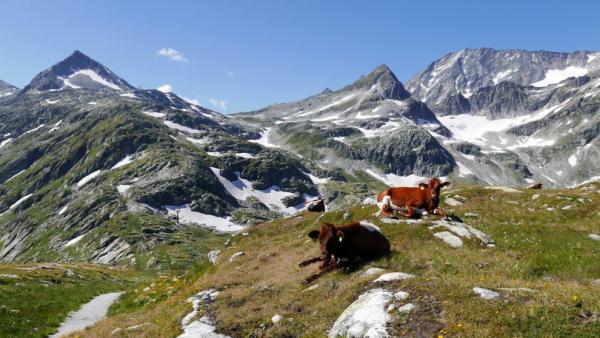 Výhled na sedlo Kalser Tauern