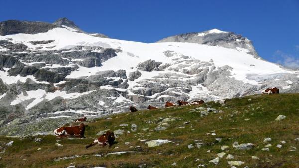 Výhled na Stubacher Sonnblick a Granatspitze