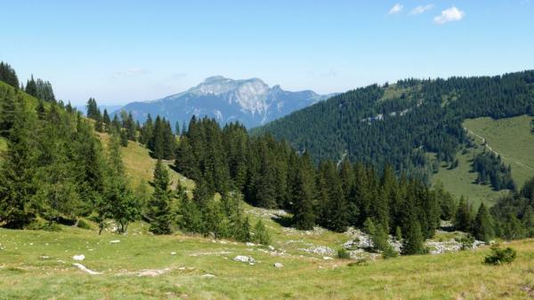 Výhled na Schafberg z průsmyku
