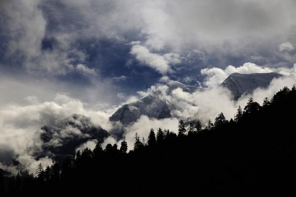 Nilgiri