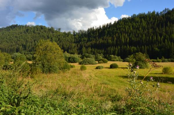 Ojedinělá soustava říčních zákrut