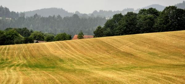 Vysočina