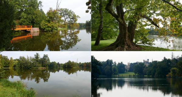 Grottův ostrov