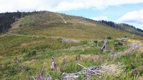 Stolica (1476 m n.m.)