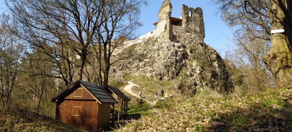 Šášovský hrad