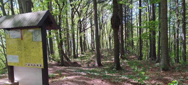 Žakýlsky hrad