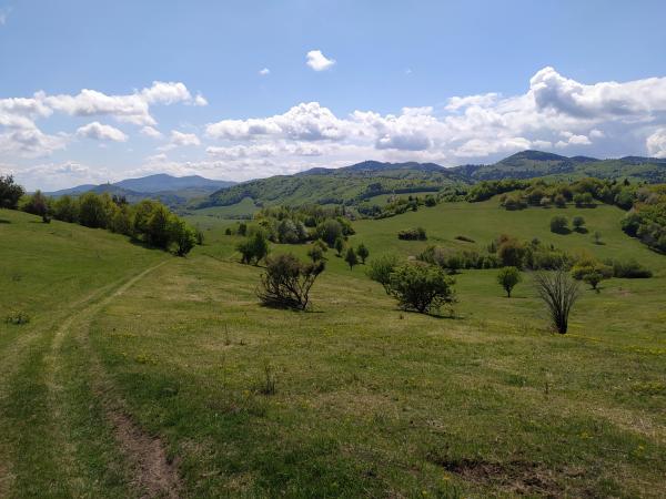 Kultúrna krajina
