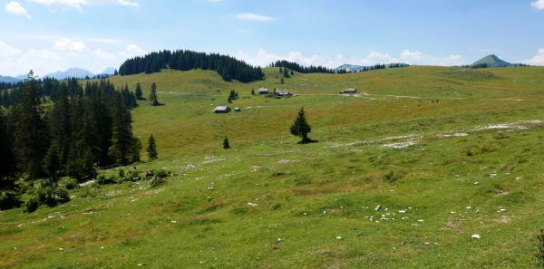 Výhled na Wiesleralm