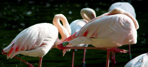 ZOO Jihlava