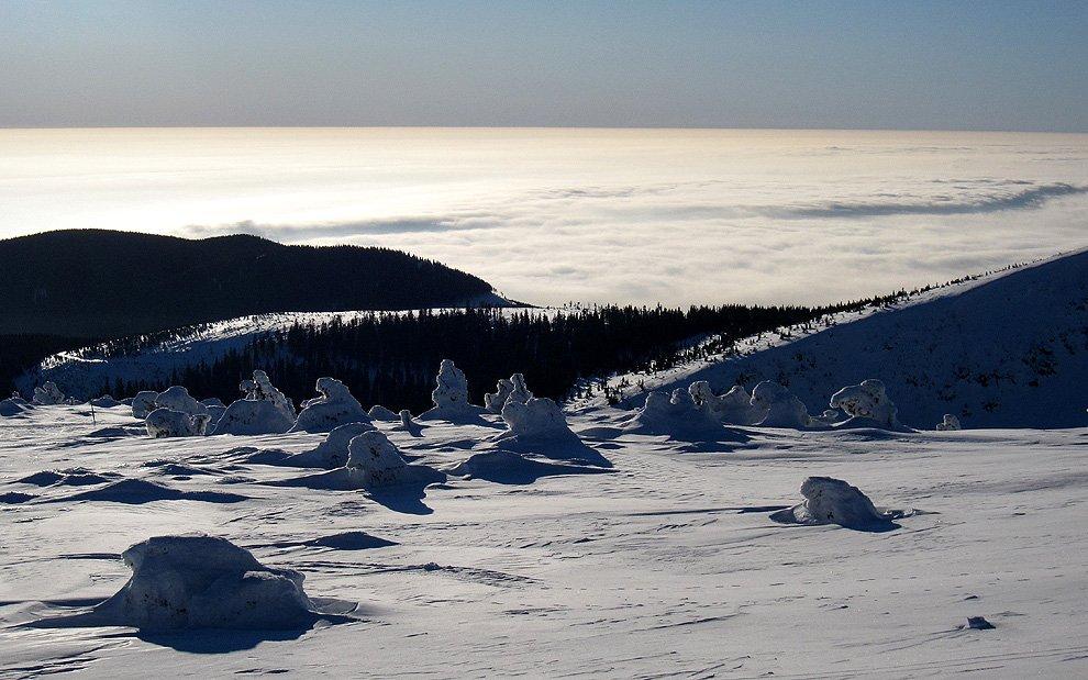 Bohemia under inversion