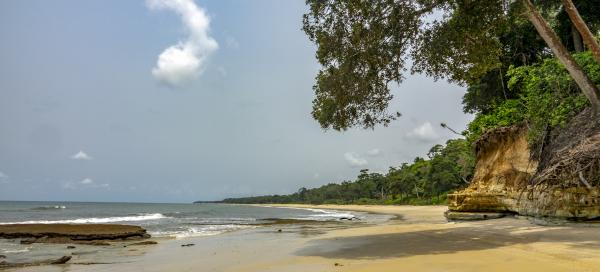 Pongara National Park