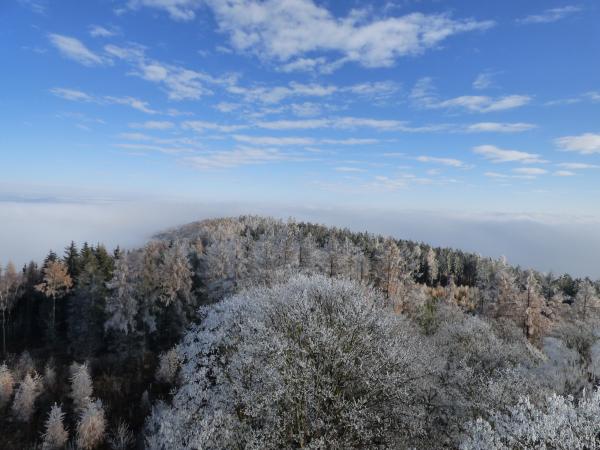 Pohled na Krušnou horu