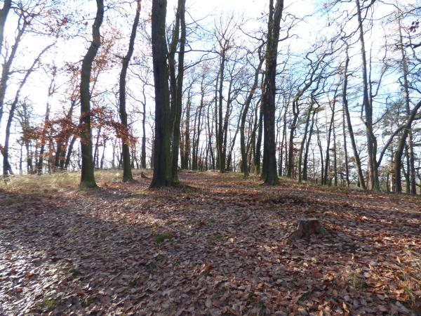 Hradiště