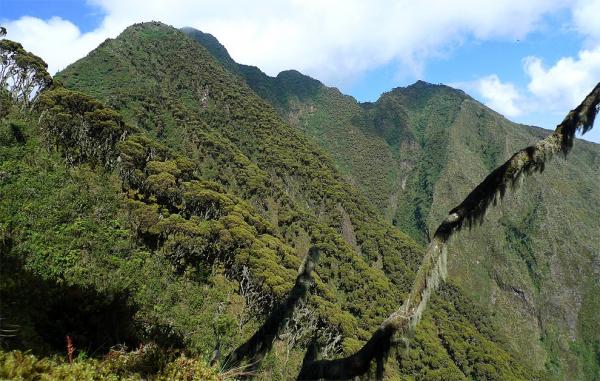 The ascent to the volcano Sabyinyo