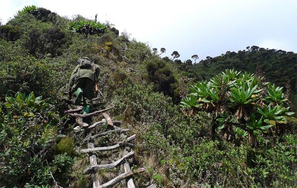 Final ascent