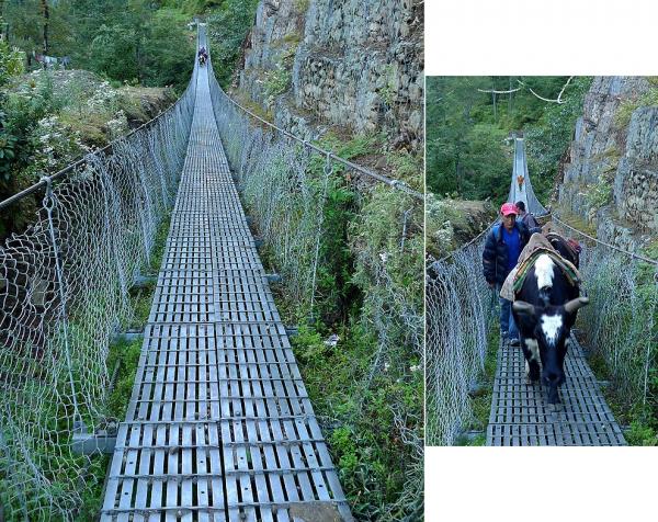 Suspension bridge