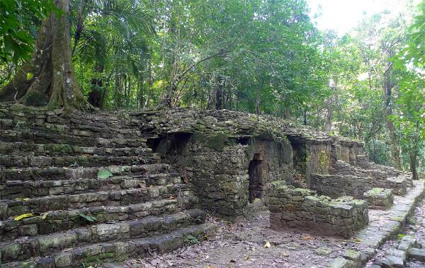 Overgrown ruins