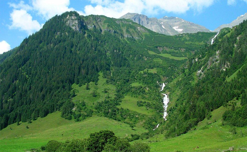 Walcher bach