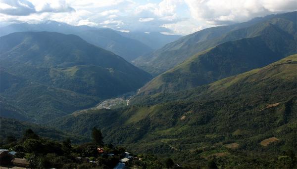 U Coroica
