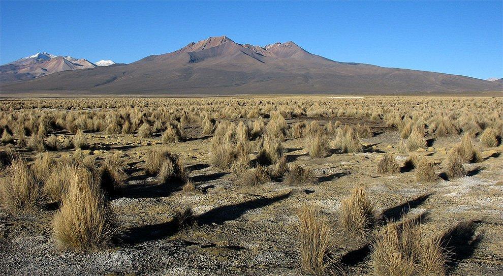 Volcanic Altiplano