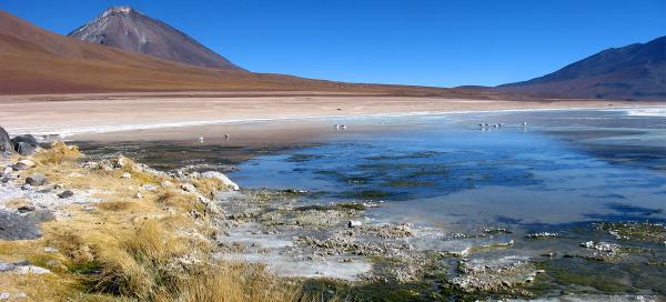 Laguna Blanca