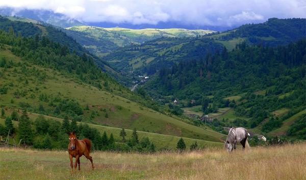View in the direction of Sinevir