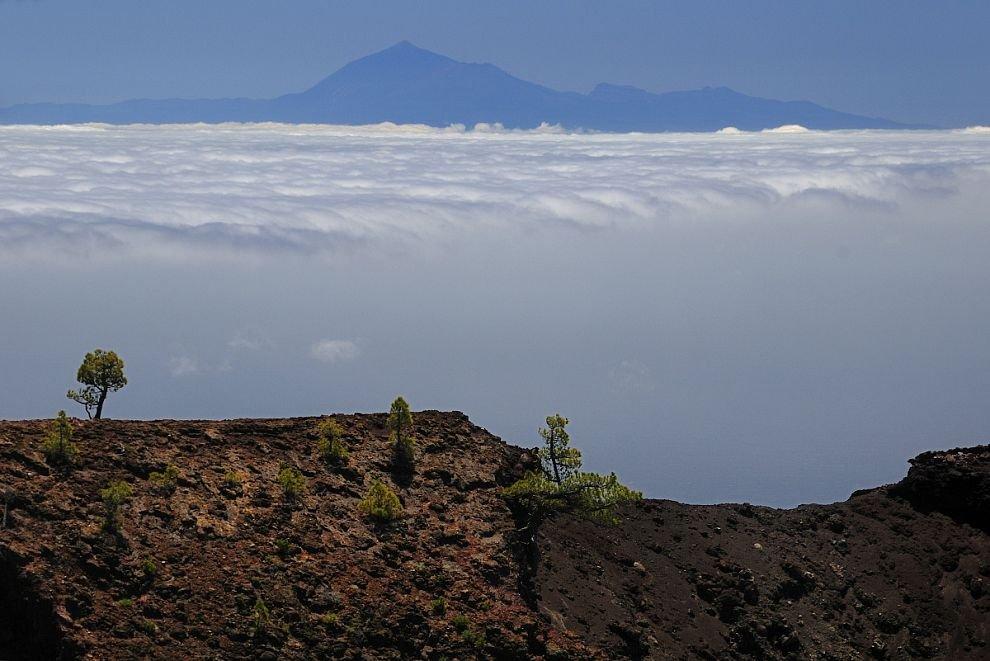Tenerife