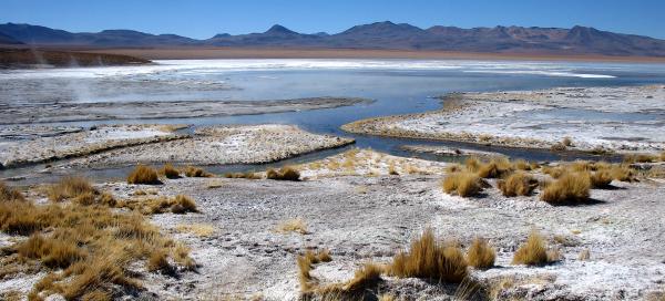 Laguna Salada