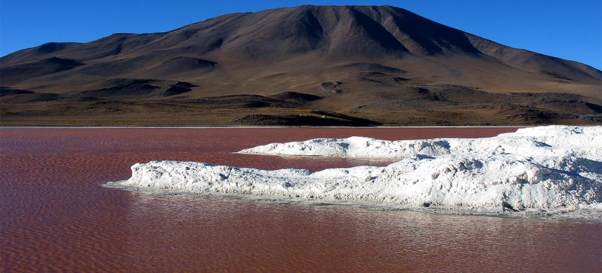 Laguna Colorada