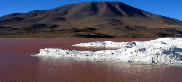 Laguna Colorada