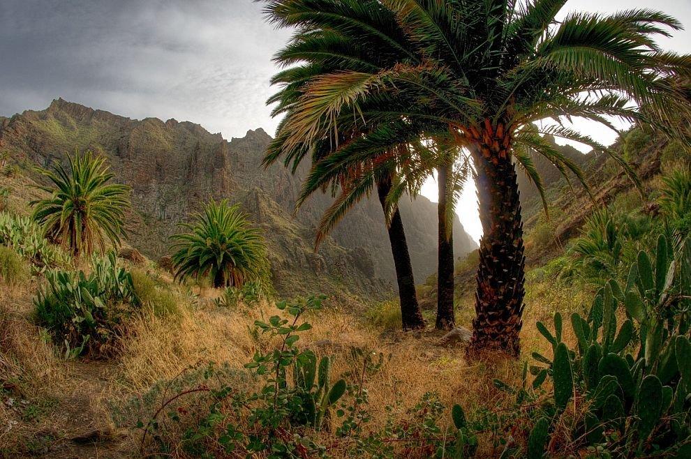In the shade of palm trees