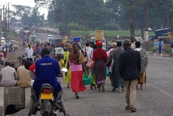Road to the market