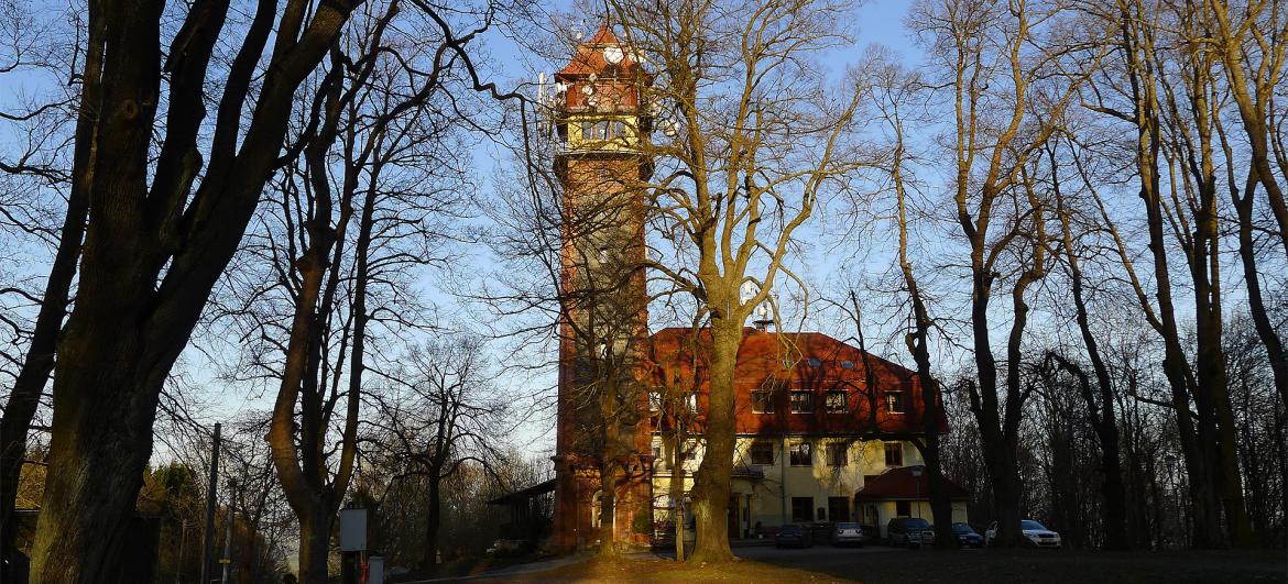 Rozhledna na Táboře