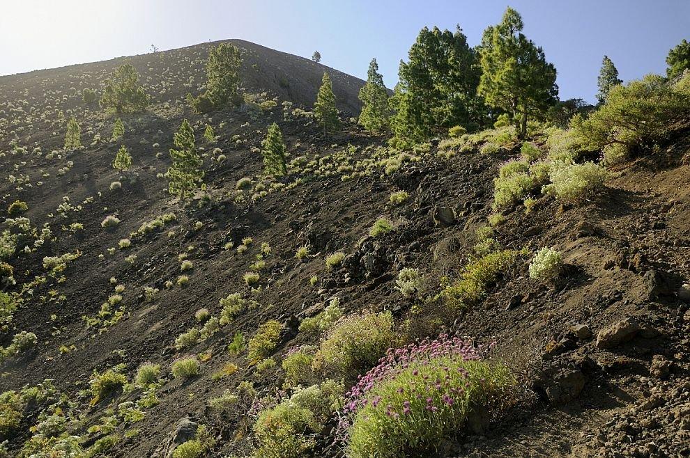 Pico Birigoyo