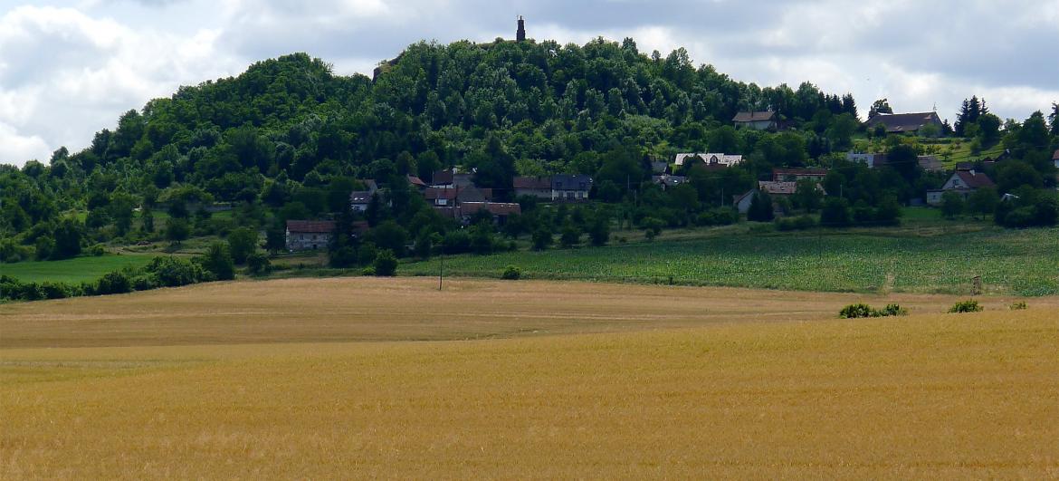 Veliš
