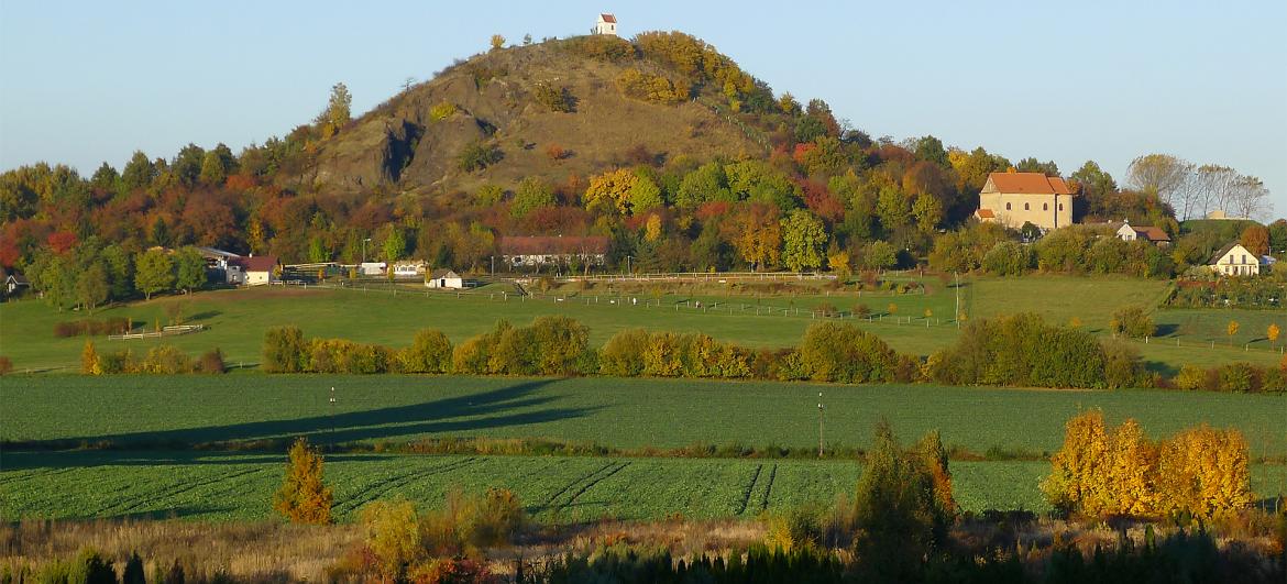 Zebín