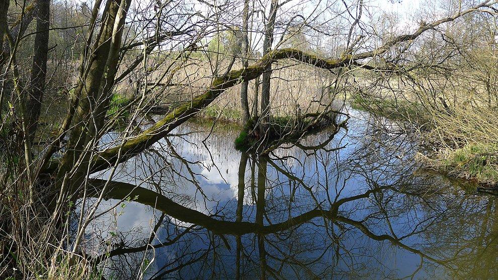 Stržský potok