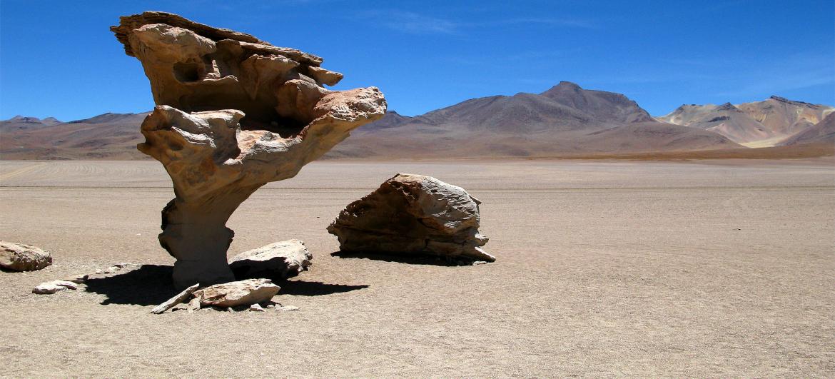 Skalní útvar Arbol de Piedra
