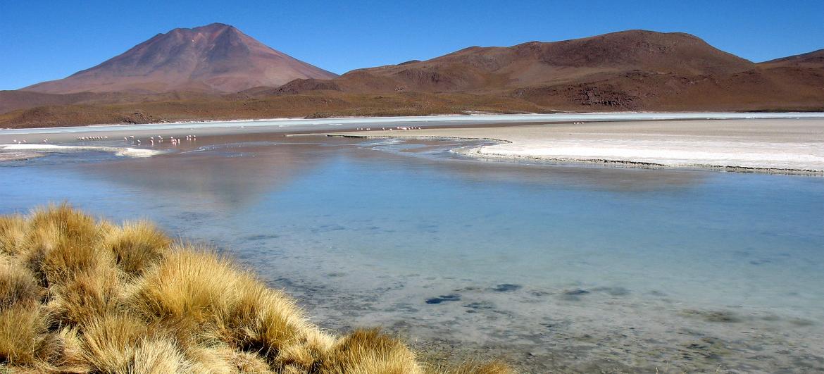 Laguna Hedionda
