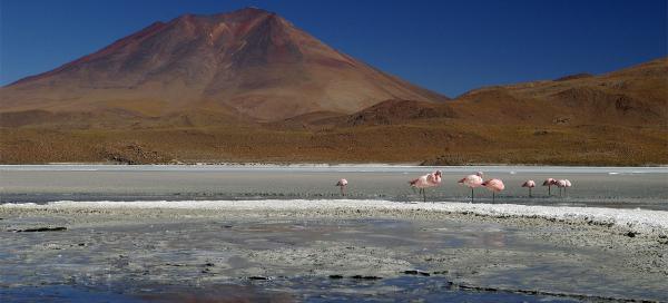 Cerro Araral