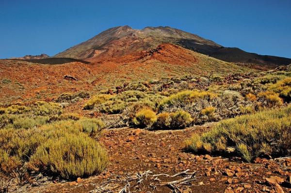 Pico Viejo